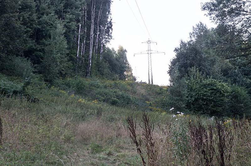 传说这列火车被埋在了这座山下面