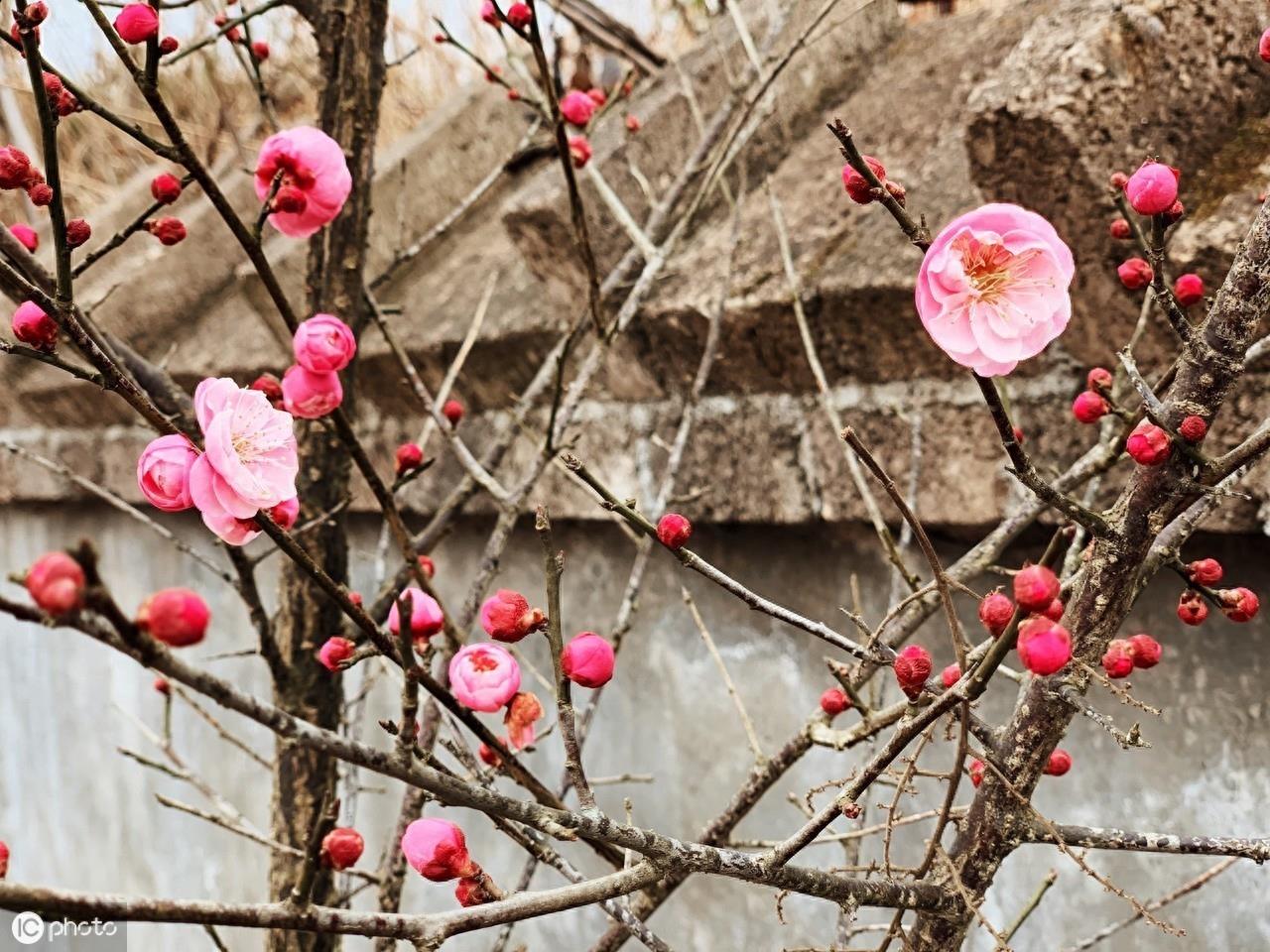 湖南理工学院